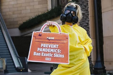 burberry bans exotic skins|Burberry bans exotic skins following seven year PETA campaign.